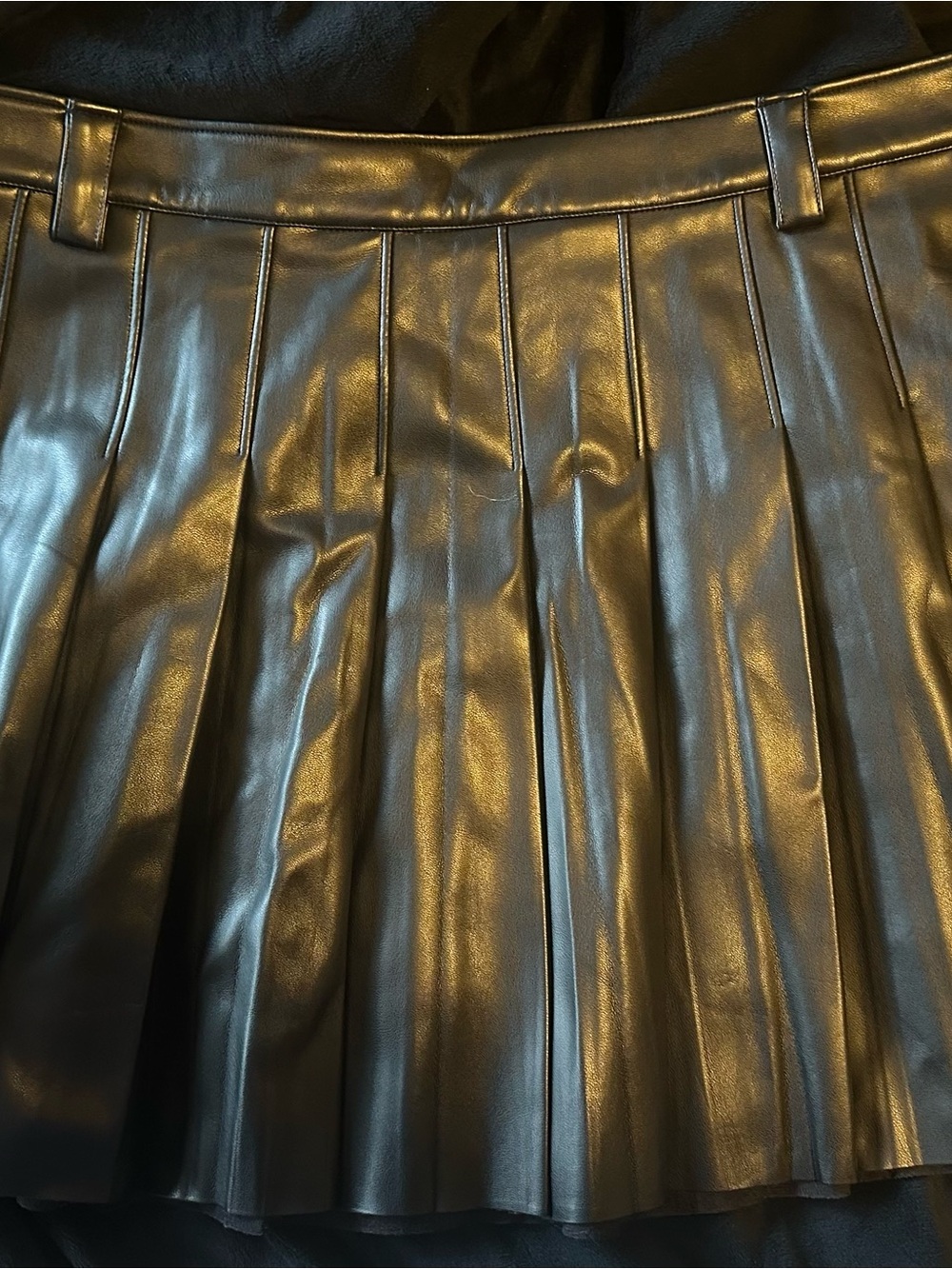 Lacie Faux Leather Pleated Skirt